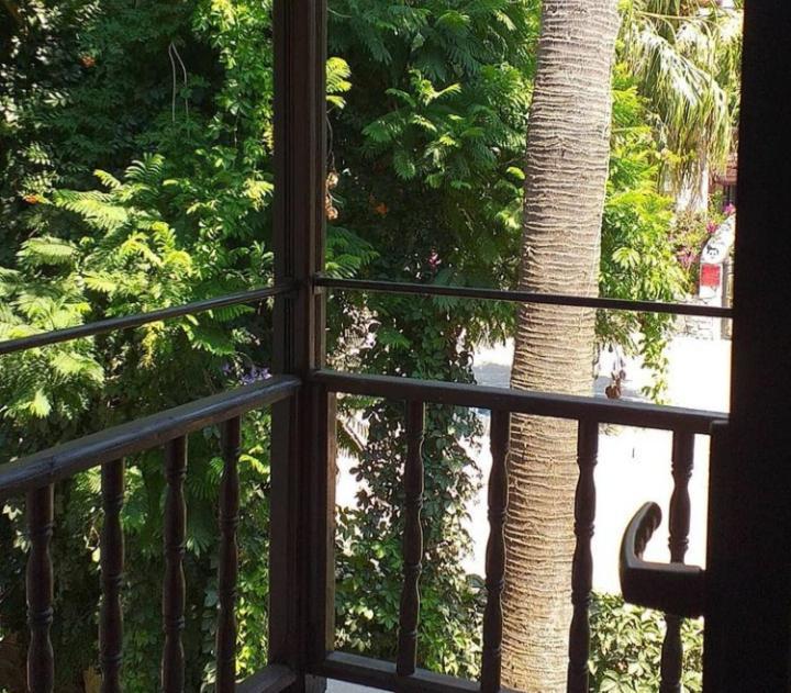 Nehir Dalyan Boutique Otel Ortaca  Ngoại thất bức ảnh