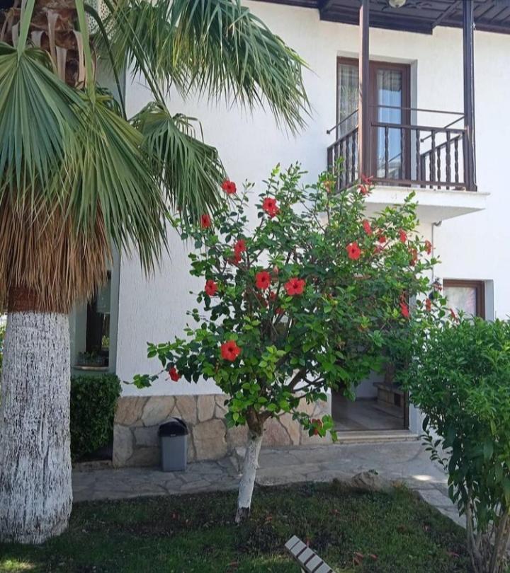 Nehir Dalyan Boutique Otel Ortaca  Ngoại thất bức ảnh